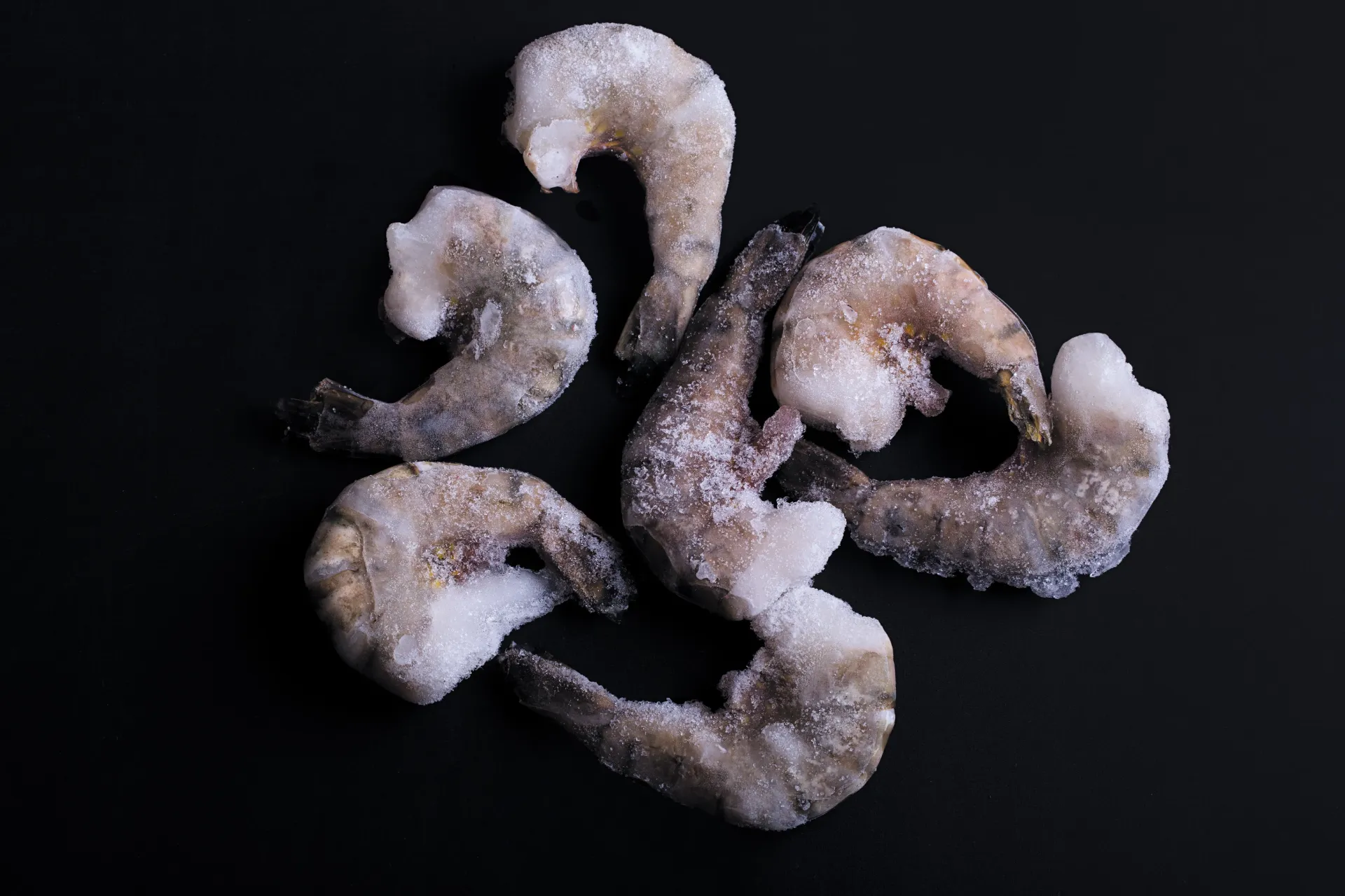 [SQ8678704] Giant Black Tiger Shrimp 13/15 