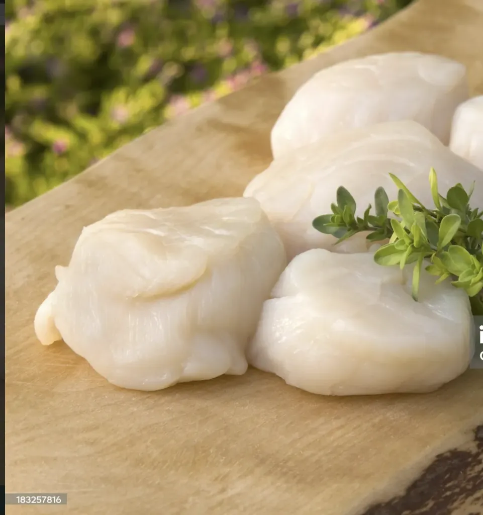 [SQ6434737] Giant Digby Scallops U10 