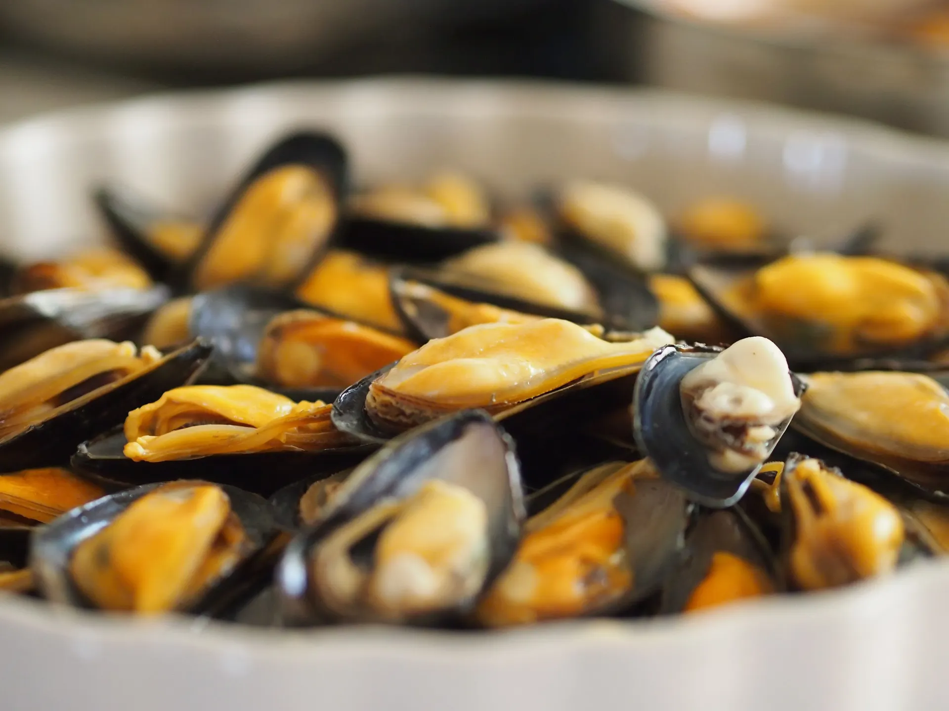 [SQ1030531] Mussel Meat (Pre-cooked) 