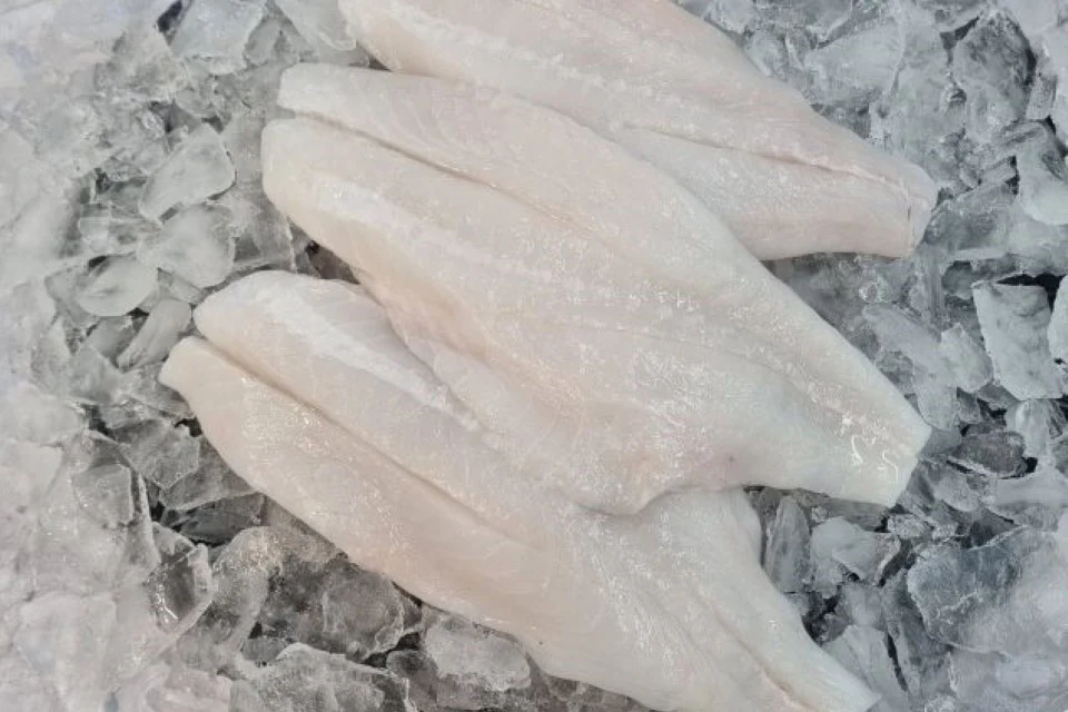 [SQ7854332] Orange Roughy Fillets