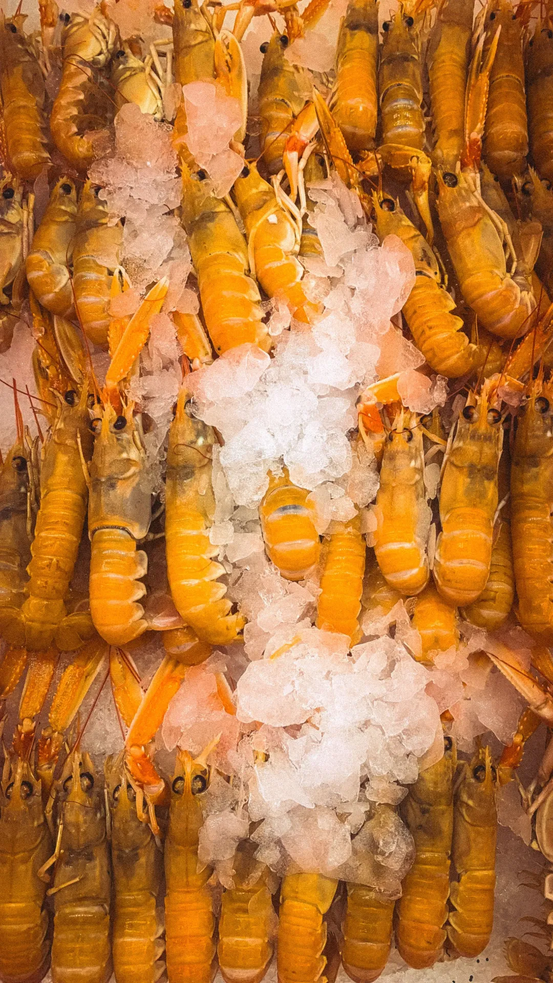 [SQ7786754] Scampi Tails 9/12 (Product of Denmark)