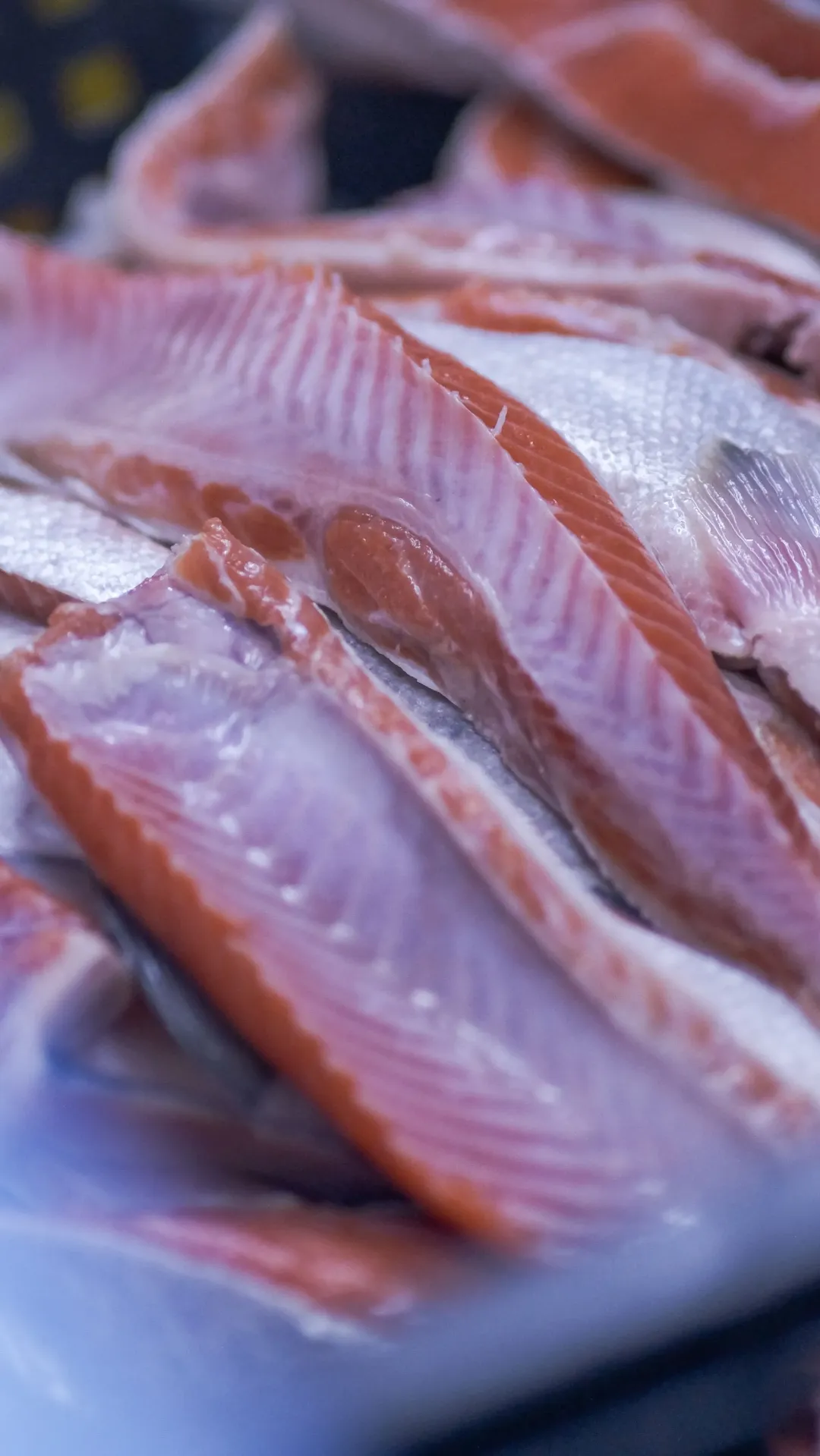 [SQ5508672] Tilapia Fillets