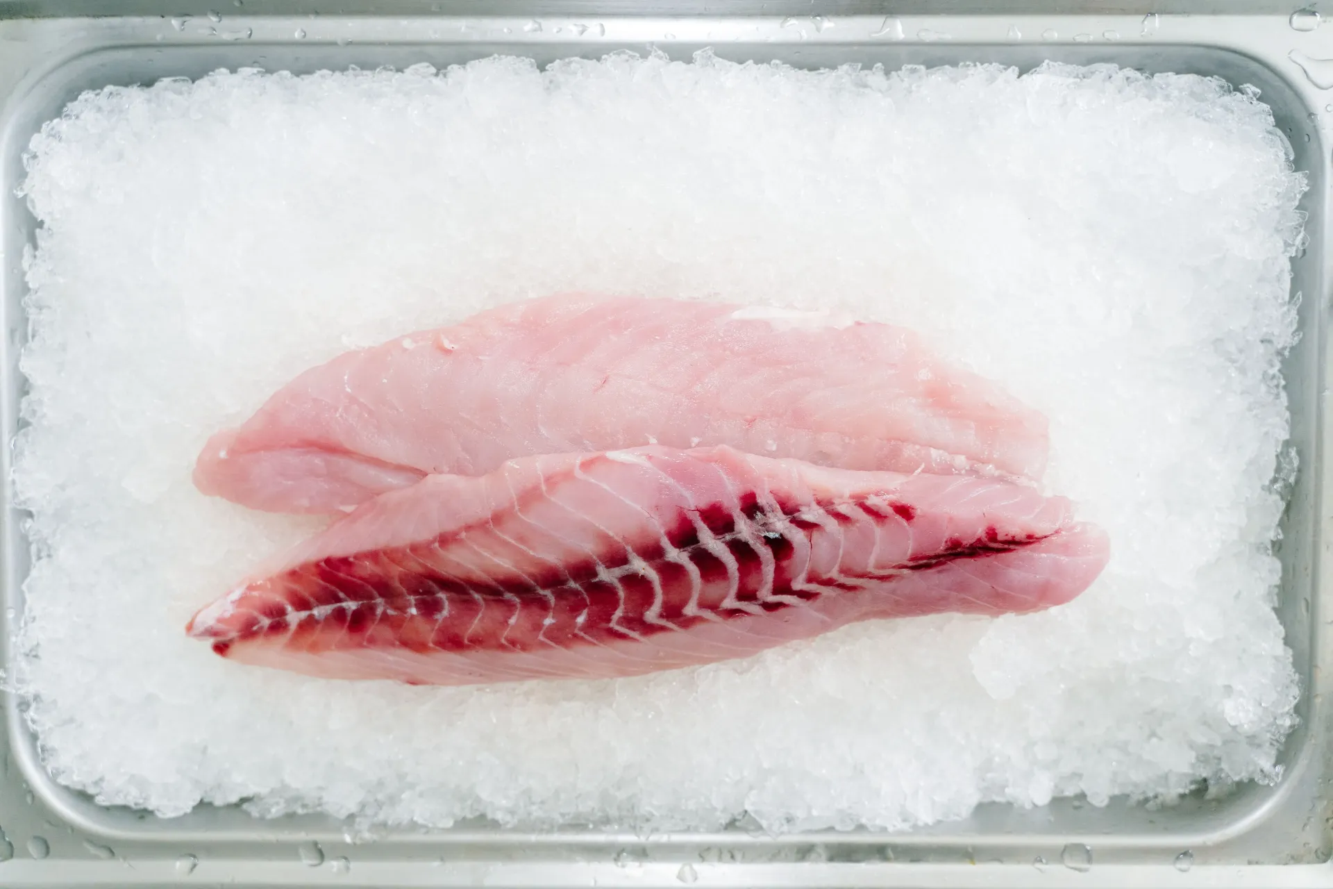 [SQ9021293] Ocean Perch Fillets