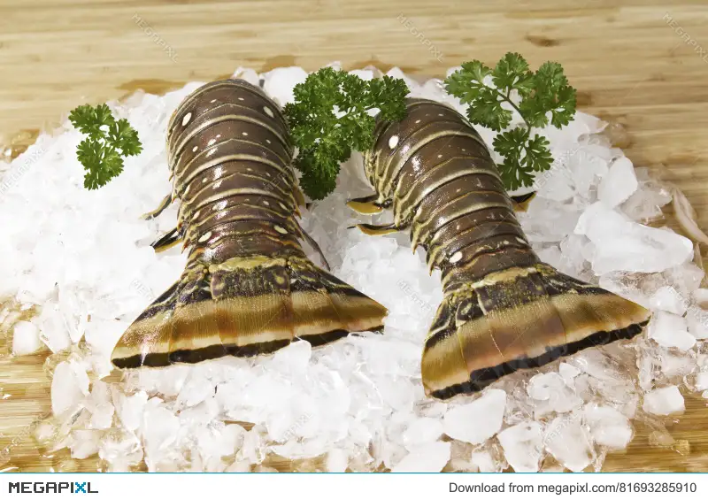 [SQ6399806] Canadian Lobster Tails 8/10 oz