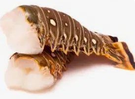 [SQ2620471] Colossal Caribbean Lobster Tail (10-12 oz)