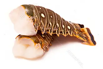 [SQ0632007] Colossal Caribbean Lobster Tail (12-14 oz)