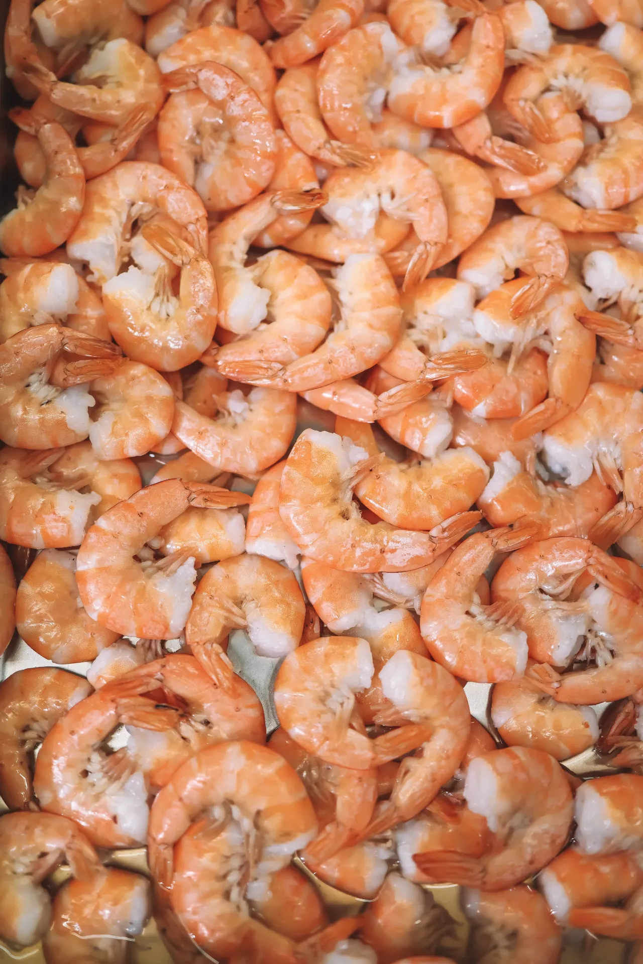 Pacific Easy Peel Prawns (Wild caught)