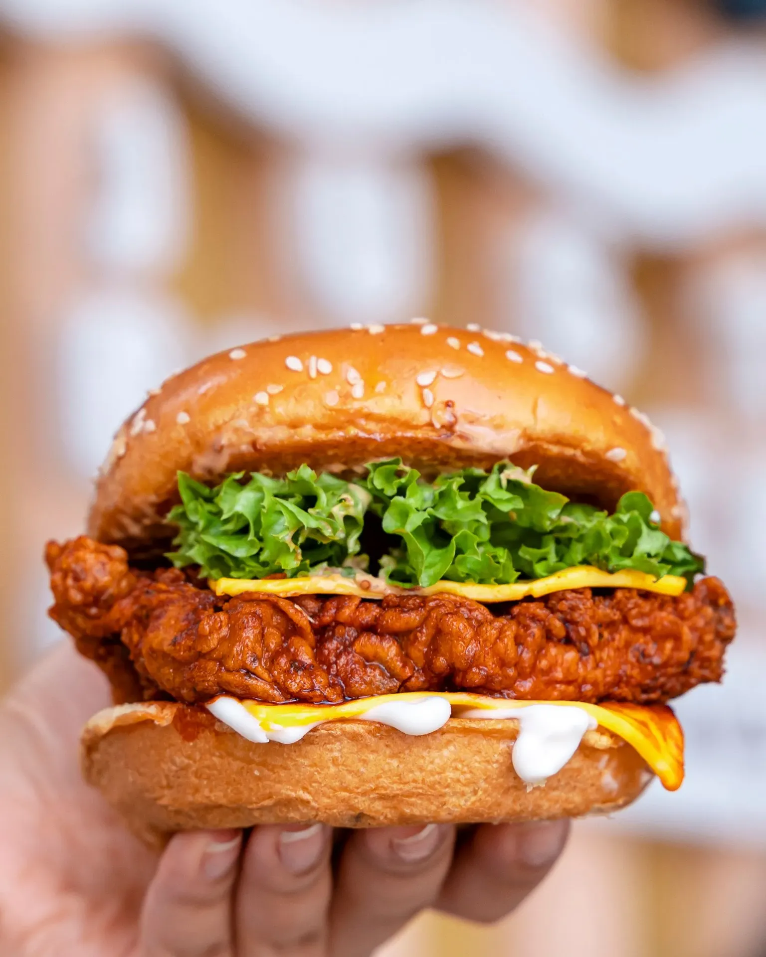 Chicken Breast Burger Crunch