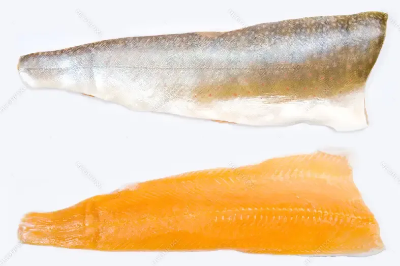 [SQ5154211] Arctic Char 