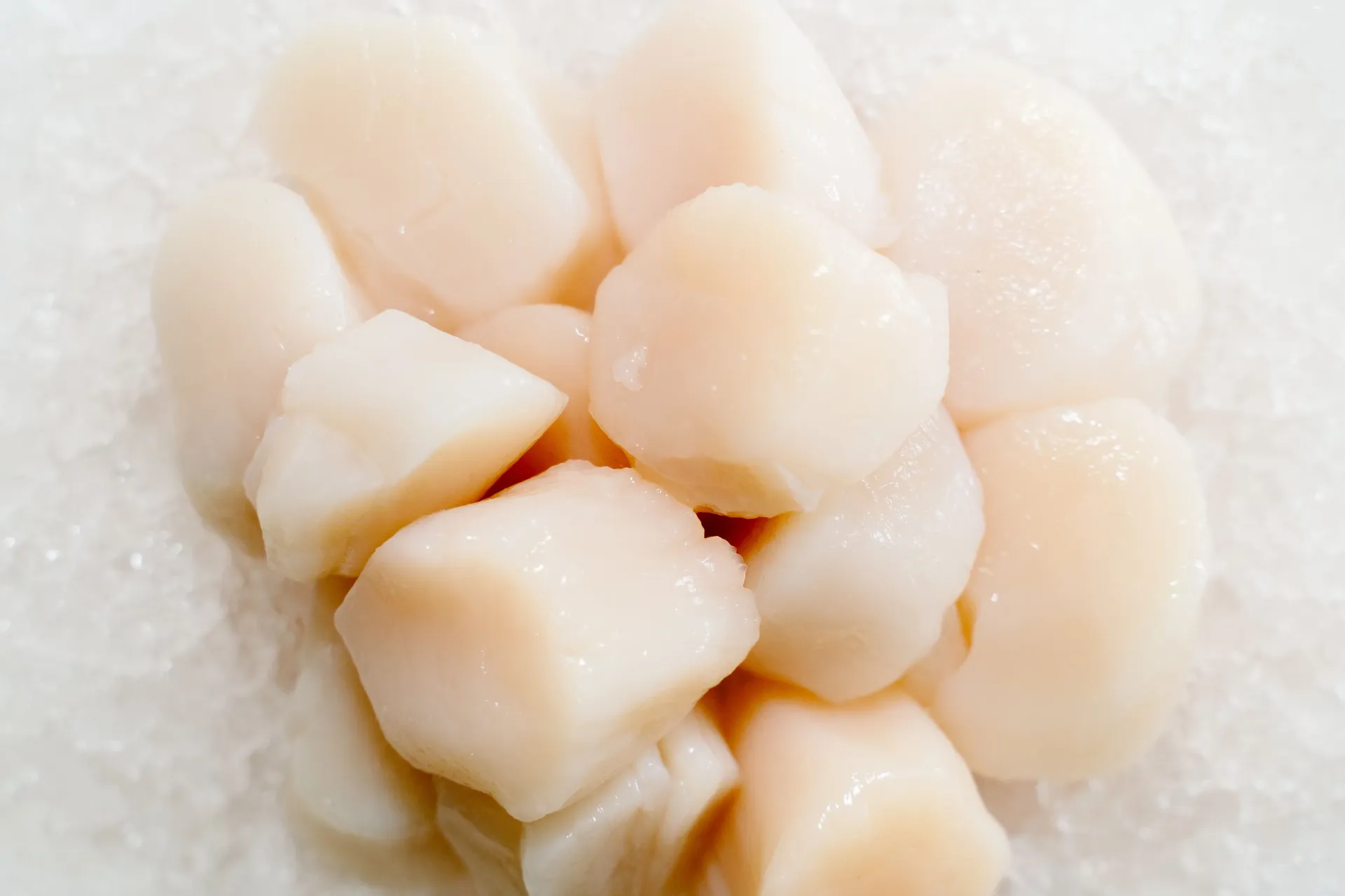[SQ8725359] Digby Scallops 20-30